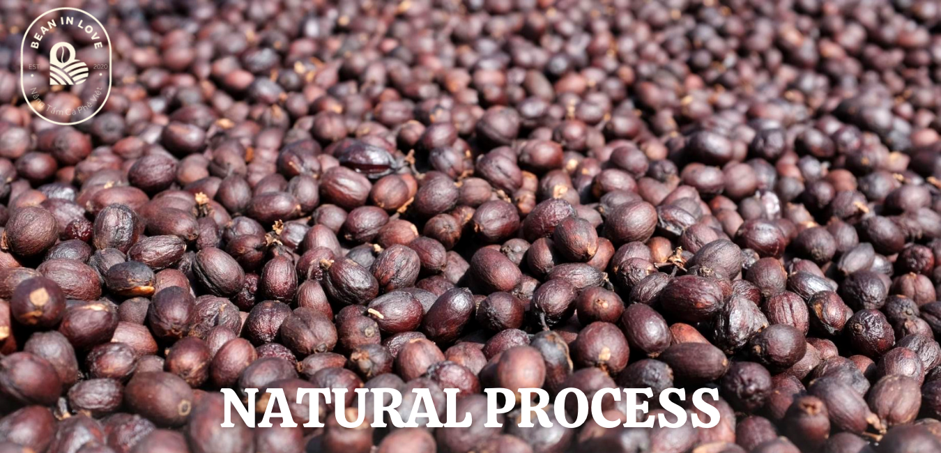 Natural Process